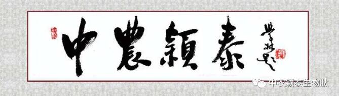 喜讯快递 | 中农颖泰成功入选河南省优质企业备投项目库